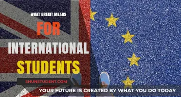Brexit's Impact: International Students' Opportunities and Challenges