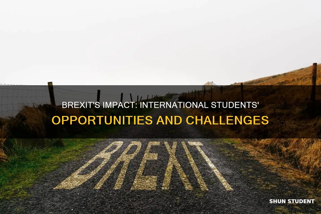 what brexit means for international students