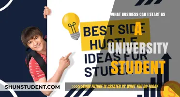Lucrative Business Ideas for University Students