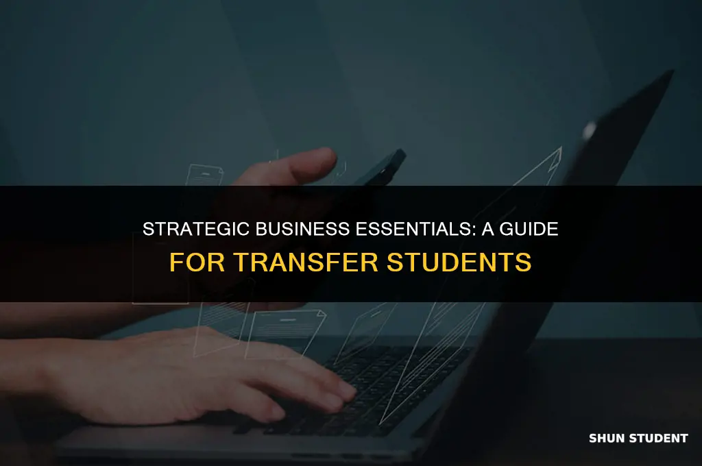 what business course shouold transfer students take