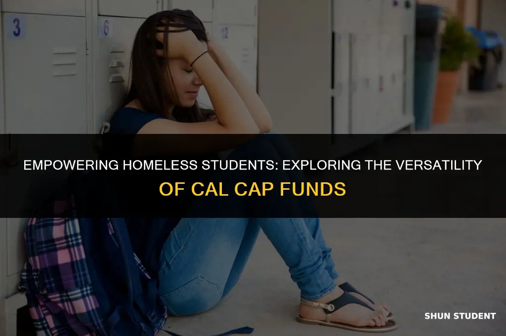 what ca lcap fund be used for with hpomeless students