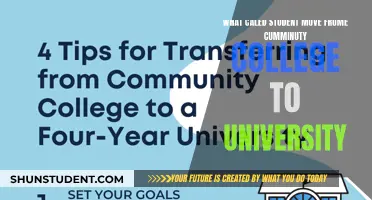 Transitioning from Community College to University: A Student's Guide to Success