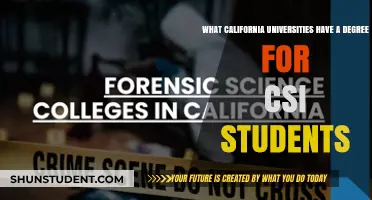 Best California Universities for Aspiring CSI Agents