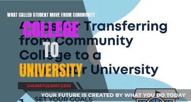 Community College to University: The Student's Journey to Higher Education