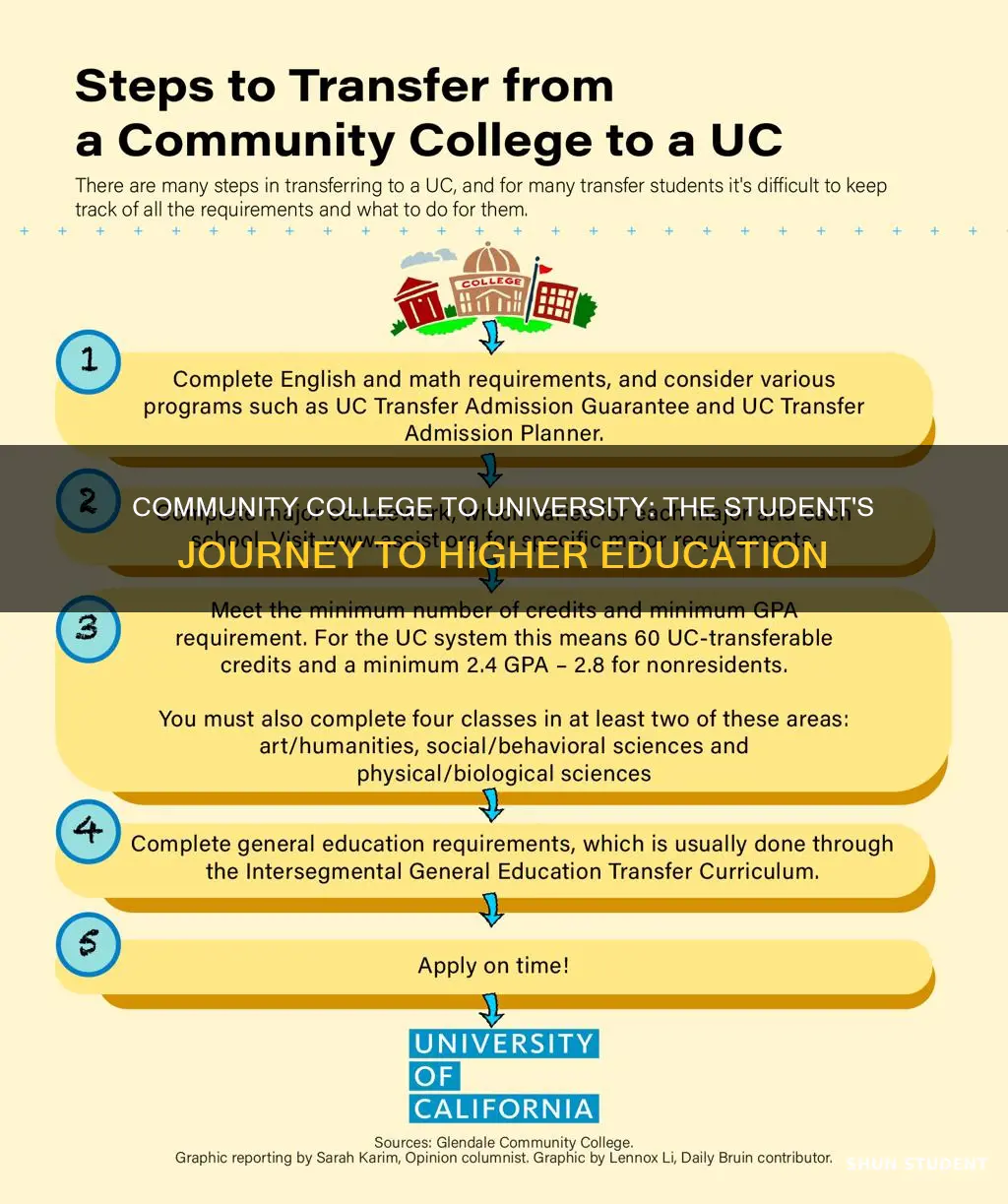 what called student move from community college to university