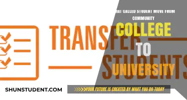 Transfer Student Triumphs: From Community College to University
