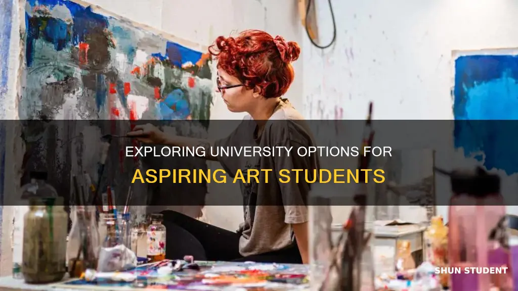 what can a art student study in university