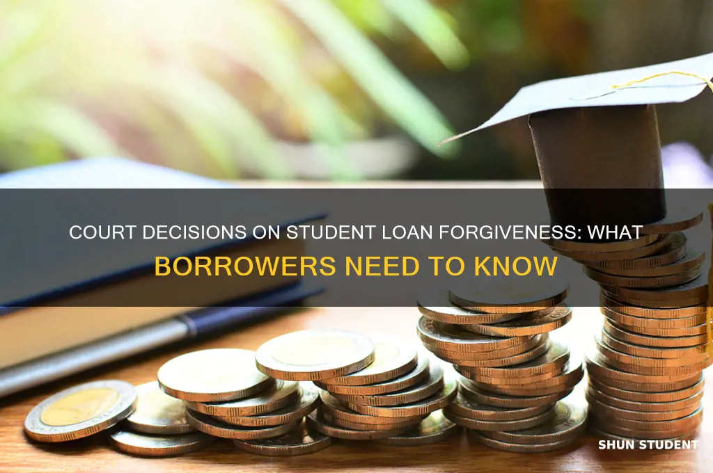 what can a court decide about student loan forgiveness