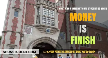 International Students: Strategies for Financial Hardship