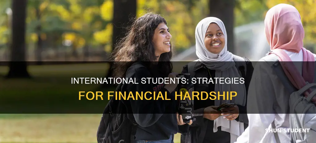 what can a international student do when money is finish