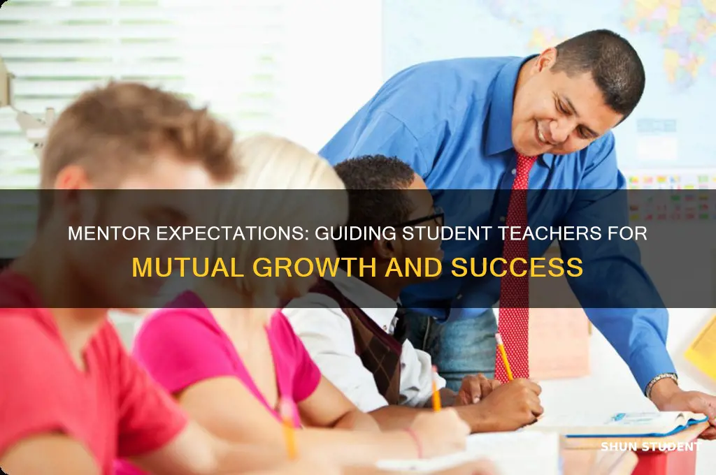 what can a mentor expect from a student teacher