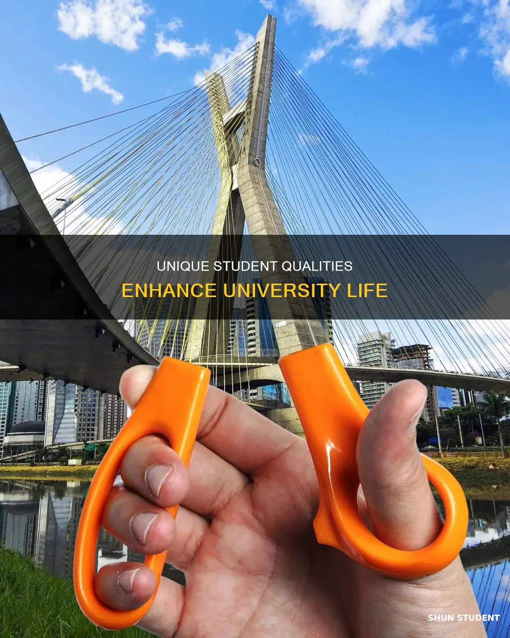 what can a student bring to a university