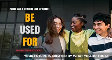 Unlocking Potential: Diverse Uses of a Student Line of Credit