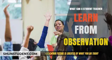 Observing to Excel: Key Lessons for Student Teachers in the Classroom