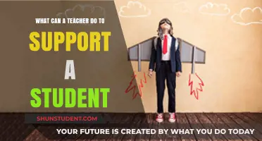 Empowering Students: Essential Strategies for Teachers to Provide Effective Support