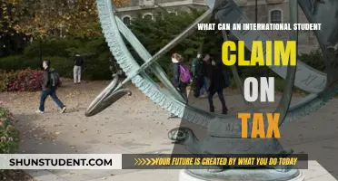 International Students: Tax Claims and Benefits