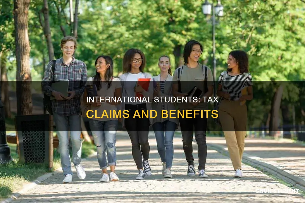 what can an international student claim on tax