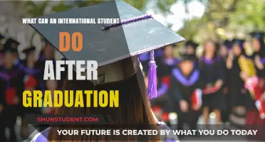 Post-Graduation: Options for International Students