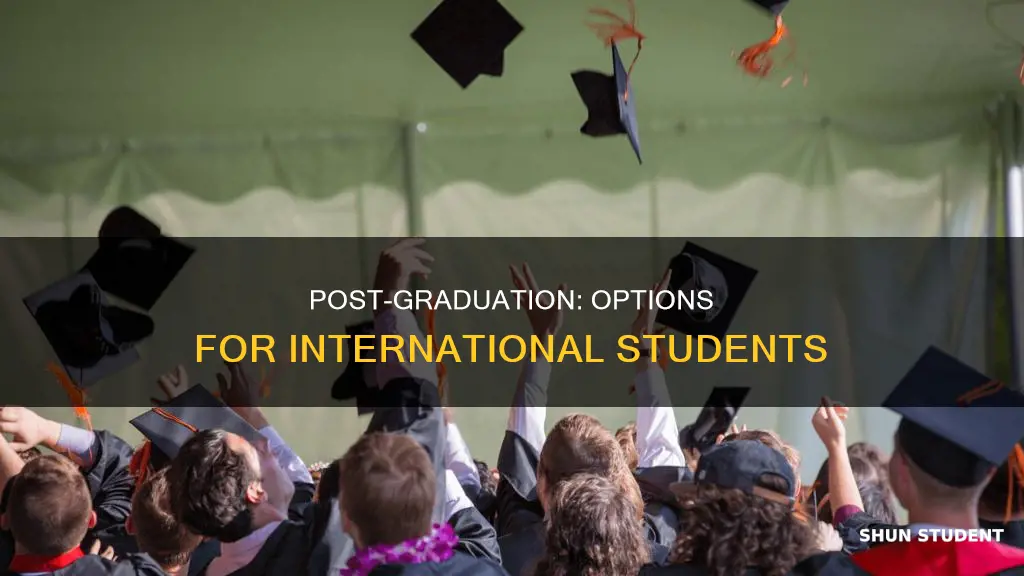 what can an international student do after graduation