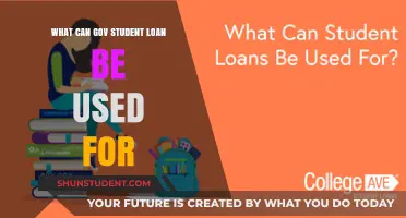 Exploring the Versatility of Government Student Loans: A Comprehensive Guide