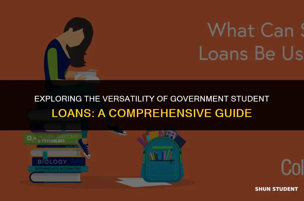what can gov student loan be used for