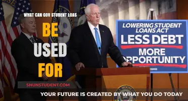 Exploring the Versatility of Government Student Loans: A Comprehensive Guide