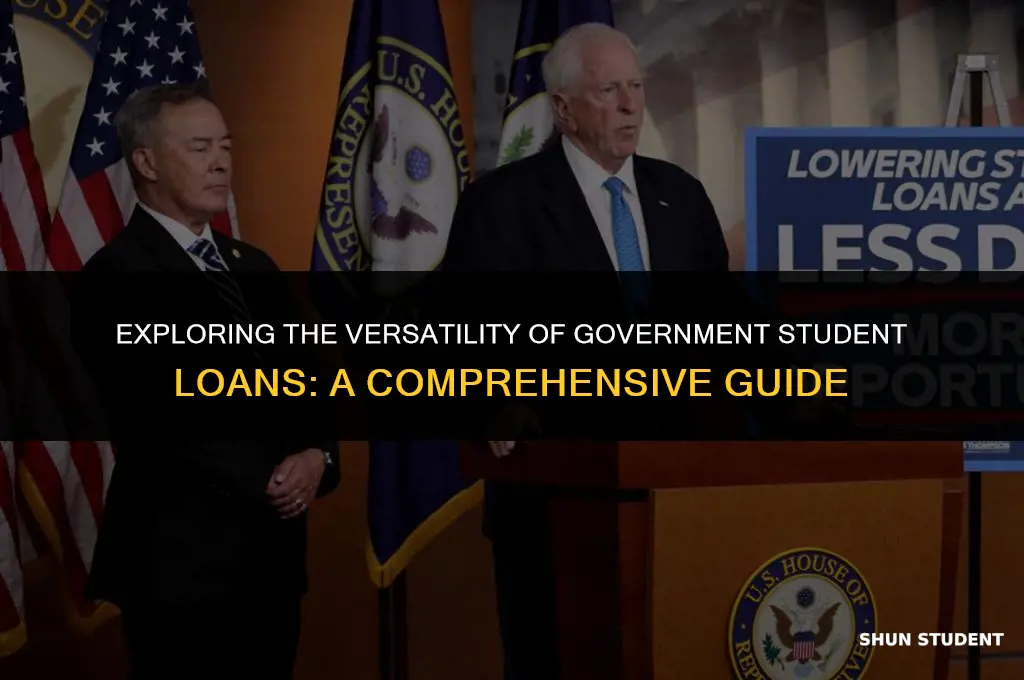 what can gov student loas be used for