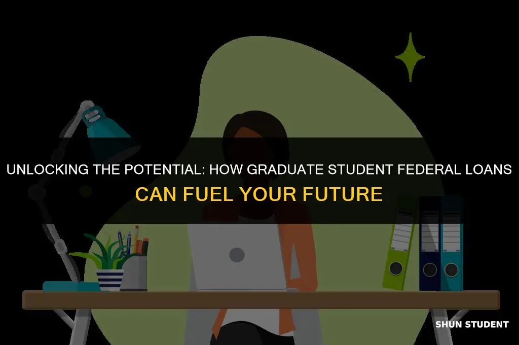 what can graduate student federal loans be used for