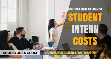 Claiming Tax Deductions for Student Intern Costs: What's Possible?