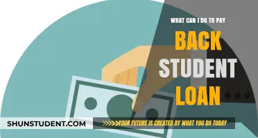 Strategies to Repay Student Loans Efficiently