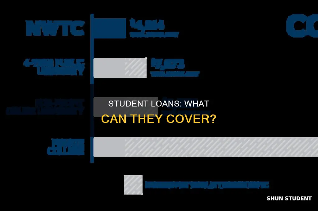 what can i pay with my student loans