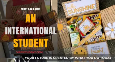 Sending Gifts to International Students: What's Best?
