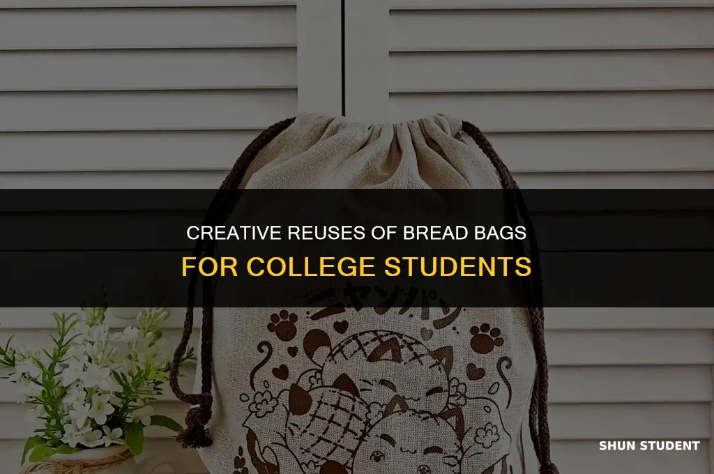 what can i use a bread bag for college students