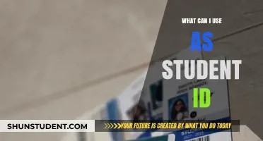 Exploring Alternatives: What Can I Use as a Student ID?