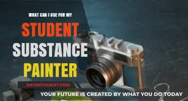 Exploring Alternatives: Tools for Student Substance Painters