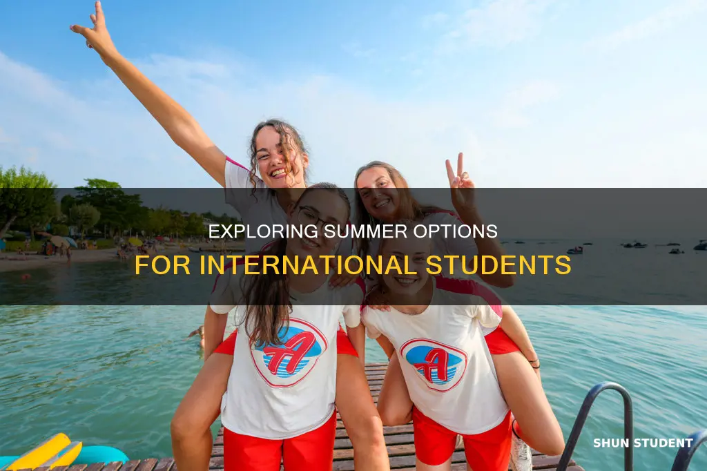 what can international students do during the summer