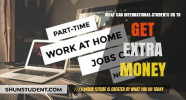 Lucrative Side Hustles for International Students