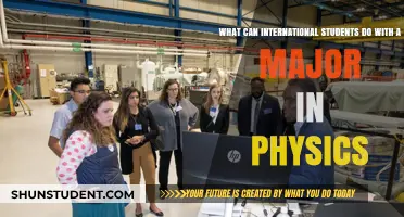 Career Options for International Physics Majors
