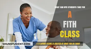Exploring Elective Options: NYU Students' Guide to Fifth Class Choices