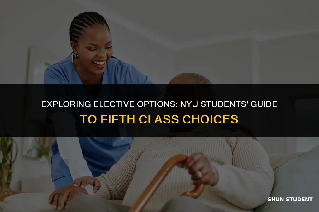 what can nyu students take for a fith class