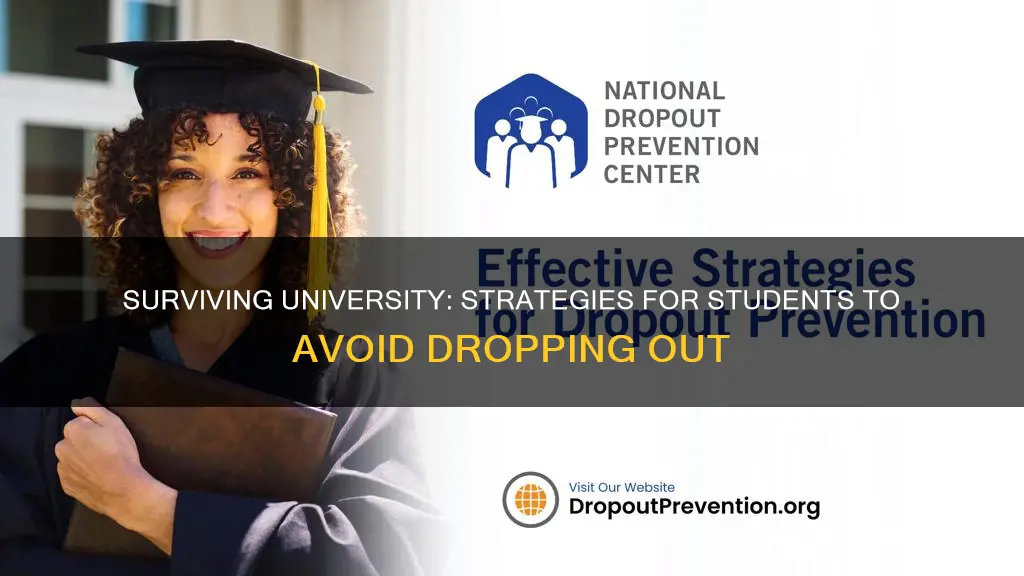 what can students do to overcome dropping out of university