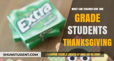 Thanksgiving Gifts: Creative Ideas for 3rd Graders from Teachers
