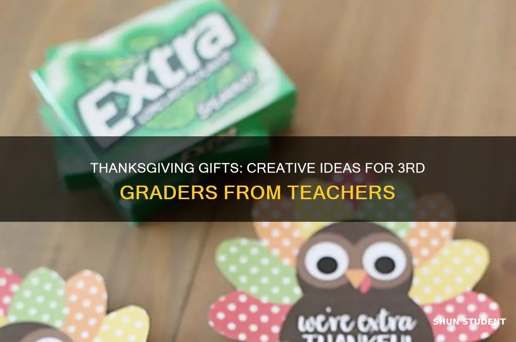 what can teacher give 3rd grade students thanksgiving