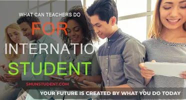 Helping International Students: Tips for Teachers