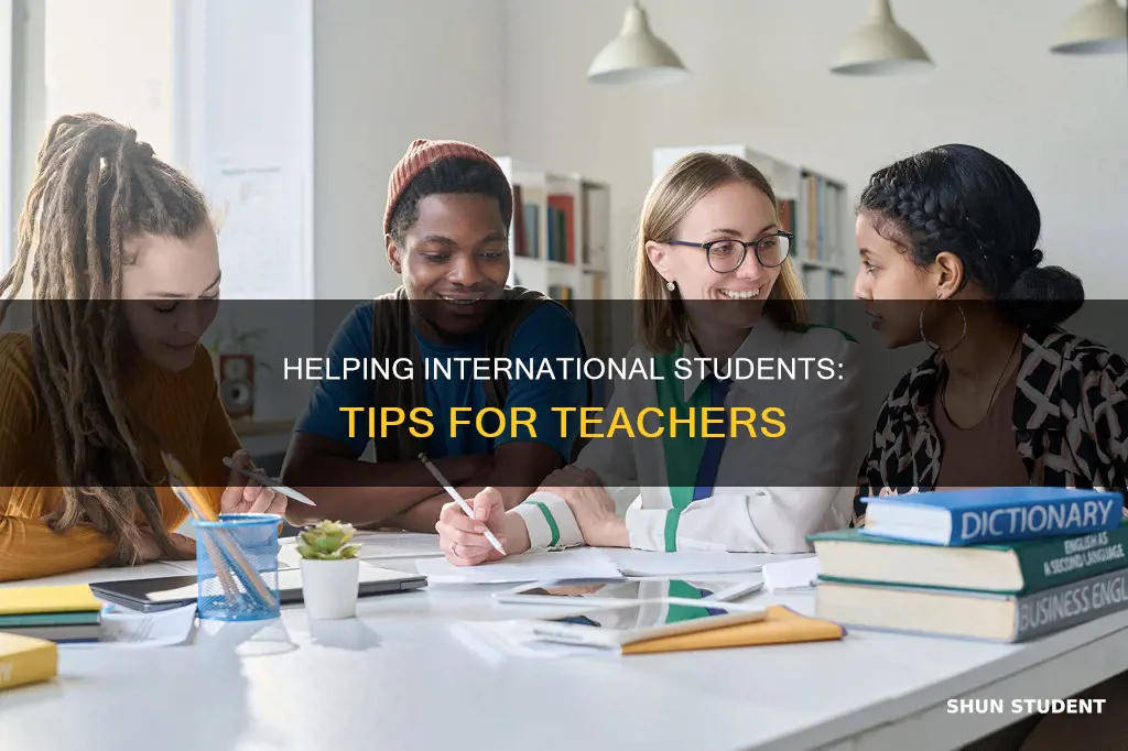 what can teachers do for international student
