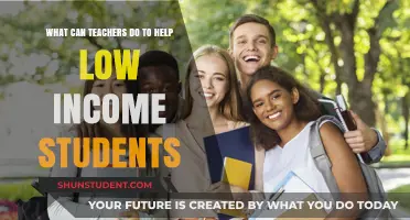 Empowering Low-Income Students: Strategies for Teachers to Bridge the Gap