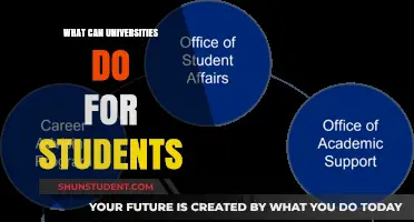 Empowering Students: Universities' Role and Responsibility