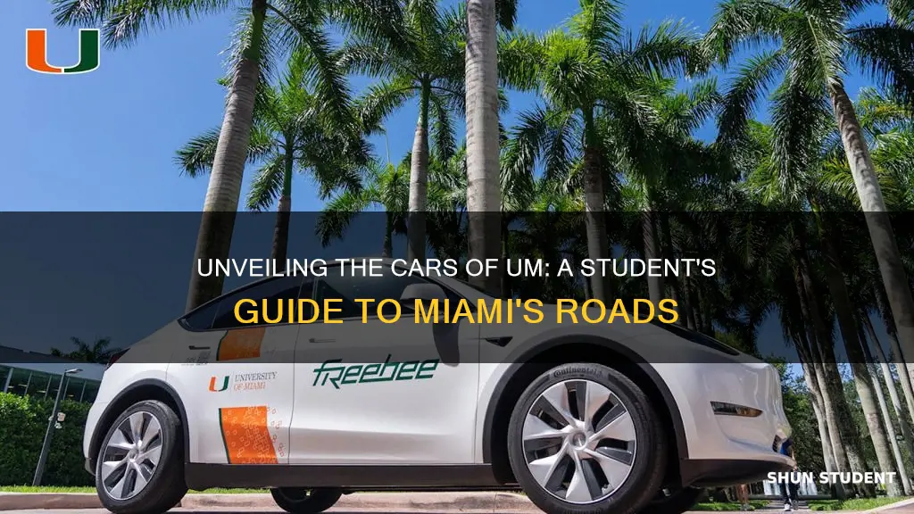 what cars do university of miami students drive