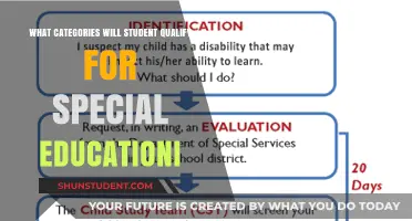 Understanding Special Education Eligibility: Key Categories for Student Qualification