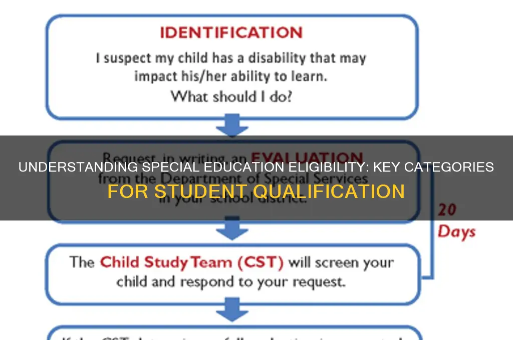 what categories will student qualify for special educationi